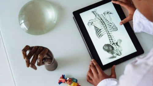 A kid looks at models of human anatomy and a picture on his tablet